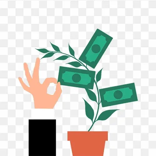 Money Plant Vector png